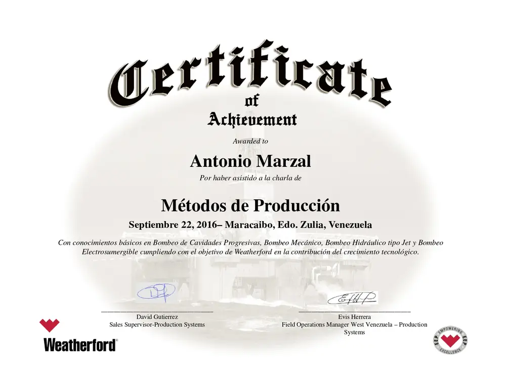 Preview of Production Methods (Certificate of Achievement)