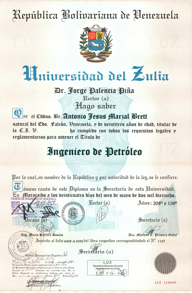 Preview of Petroleum Engineer degree (Título de Ingeniero de Petróleo)